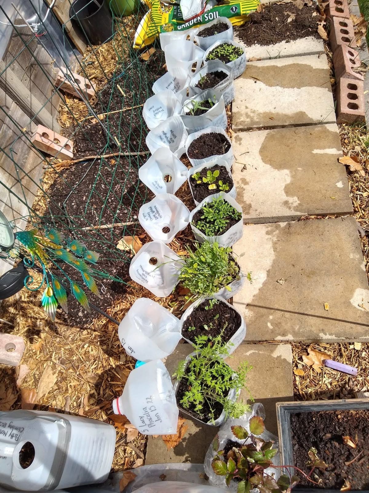 3 Smart Winter Sowing Methods Every Gardener Should Try