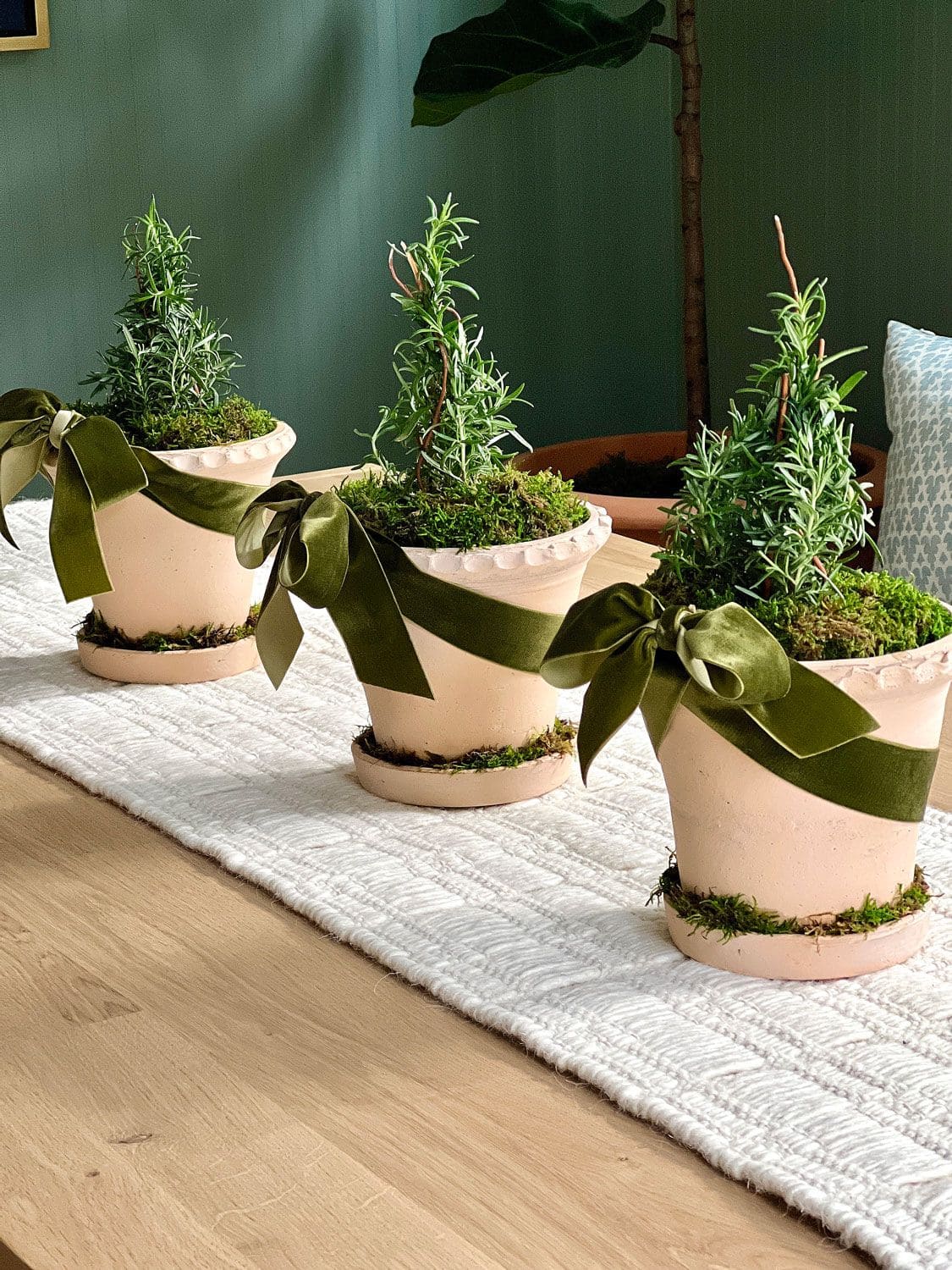 Mini Rosemary Christmas Trees