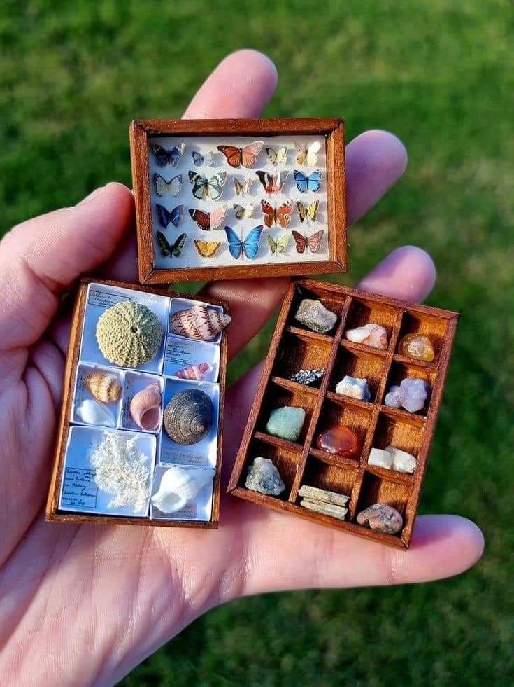 Miniature Collection Display Boxes