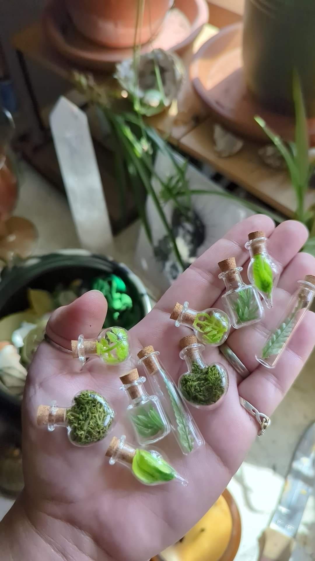 Miniature Nature Bottles Display