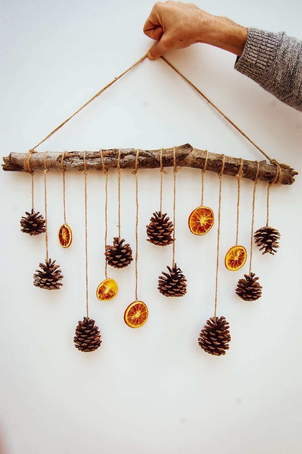 Pinecone and Citrus Hanging Wall Decor