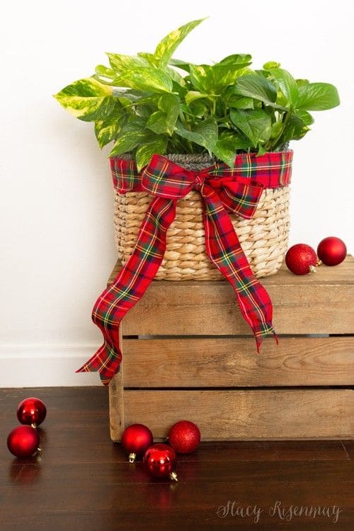 Plaid Ribbon Basket Planter