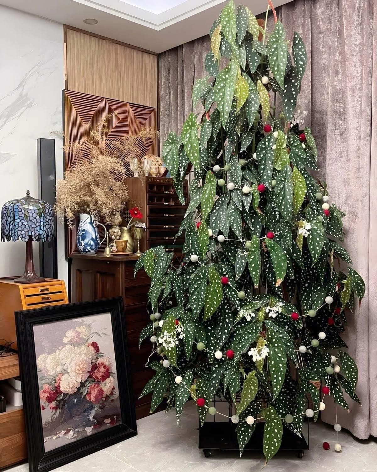 Polka Dot Plant Christmas Tree