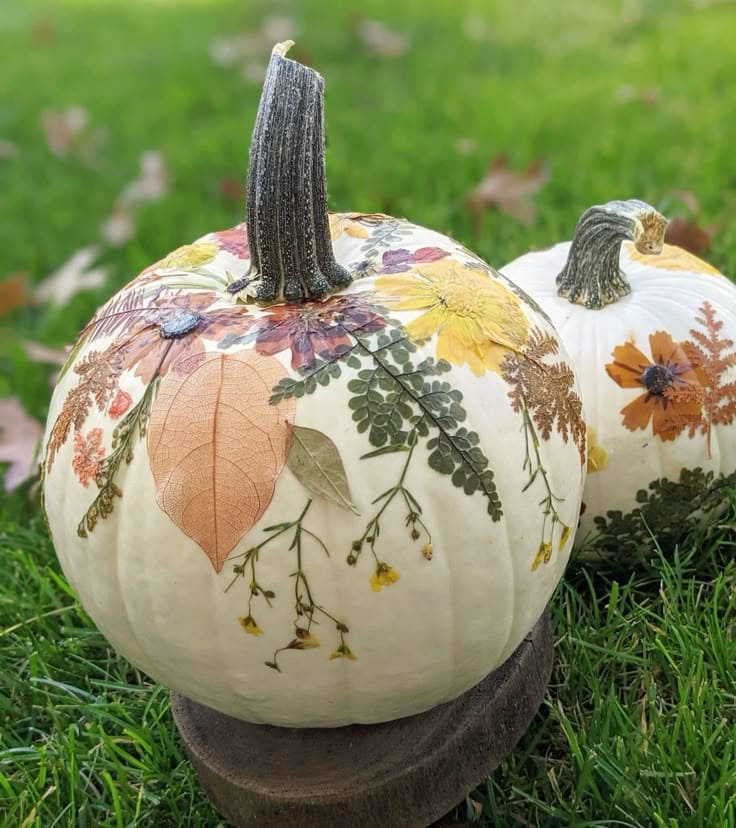 Pressed Flower Pumpkin