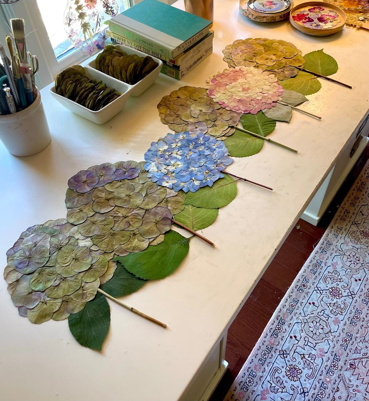 Pressed Hydrangea Blooms Display