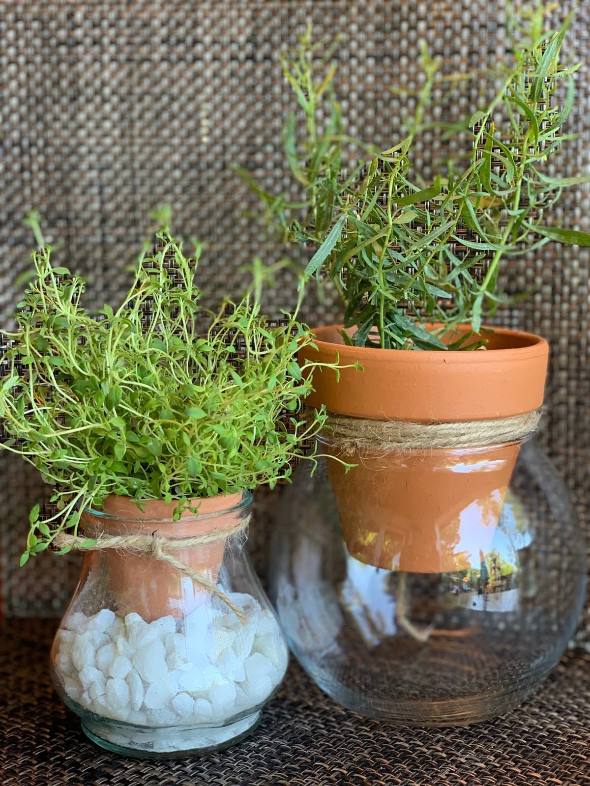 Stop Putting Saucers Under Your Planters. Here’s Why