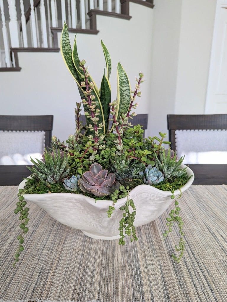 10 Best Plants That Grow Well with Snake Plants