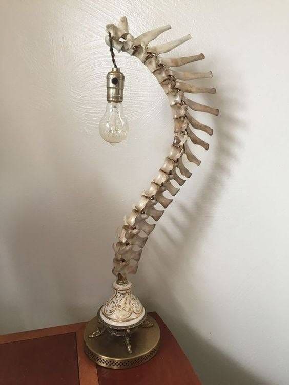 Spine-Inspired Statement Lamp