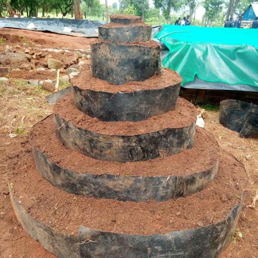 How to Build and Grow in Tiered Tire Gardens