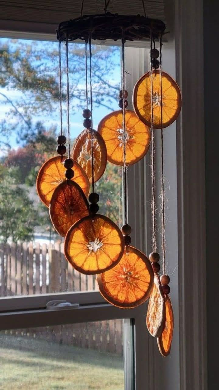 Sunlit Dried Orange Mobile
