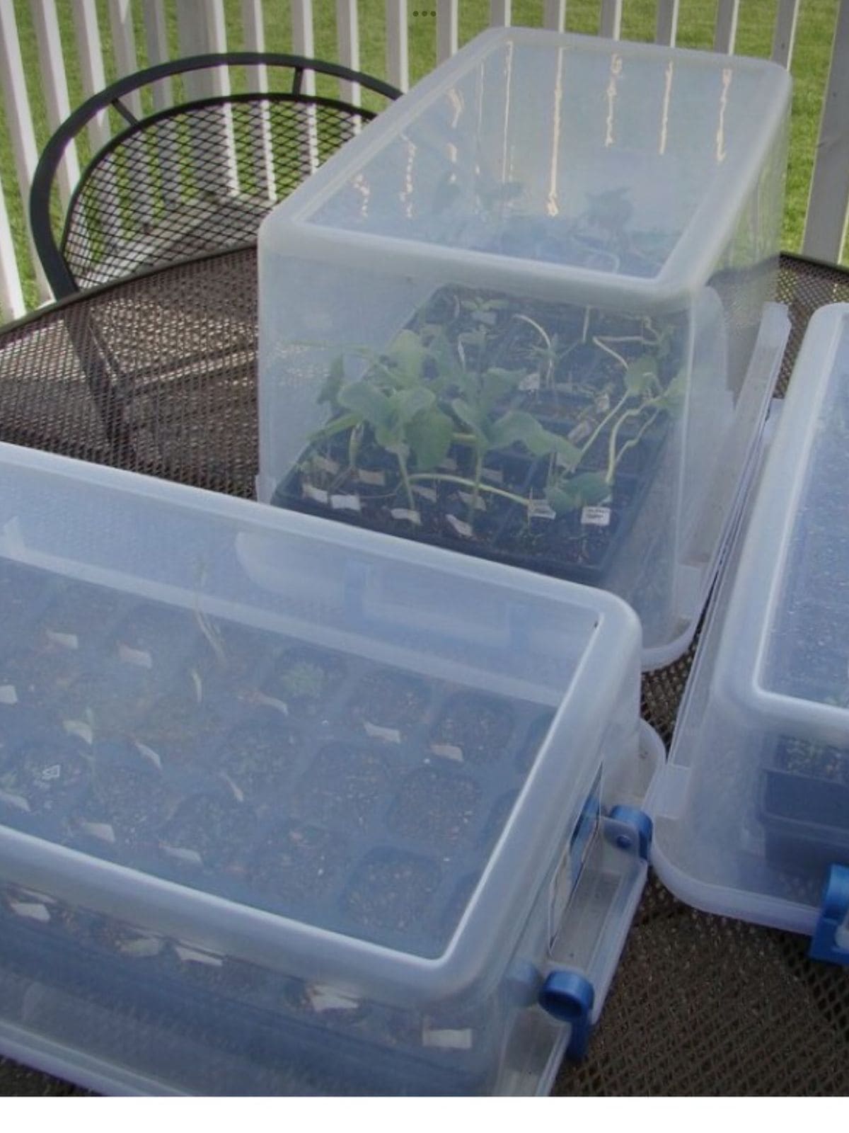 3 Smart Winter Sowing Methods Every Gardener Should Try