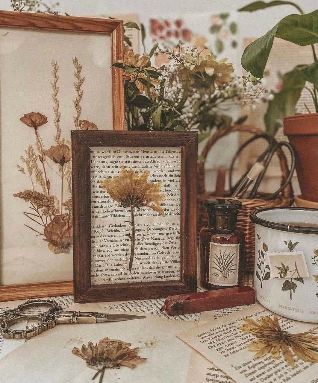 Vintage Pressed Flower Frames