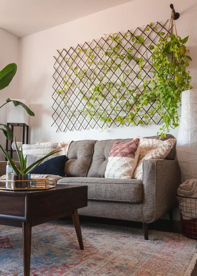 Wall Trellis Pothos Design