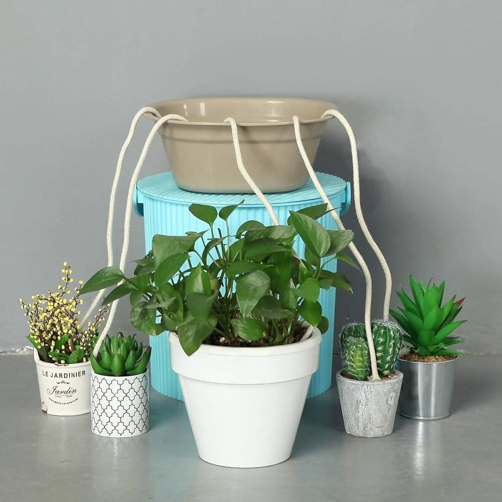 Here's the Best Way to Water Plants When on Vacation
