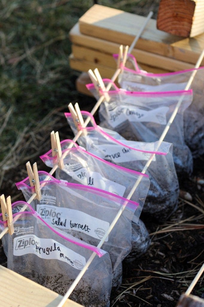 3 Smart Winter Sowing Methods Every Gardener Should Try