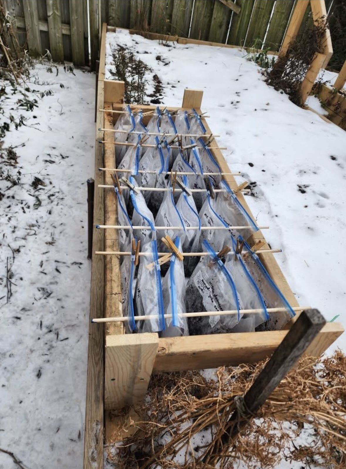 3 Smart Winter Sowing Methods Every Gardener Should Try