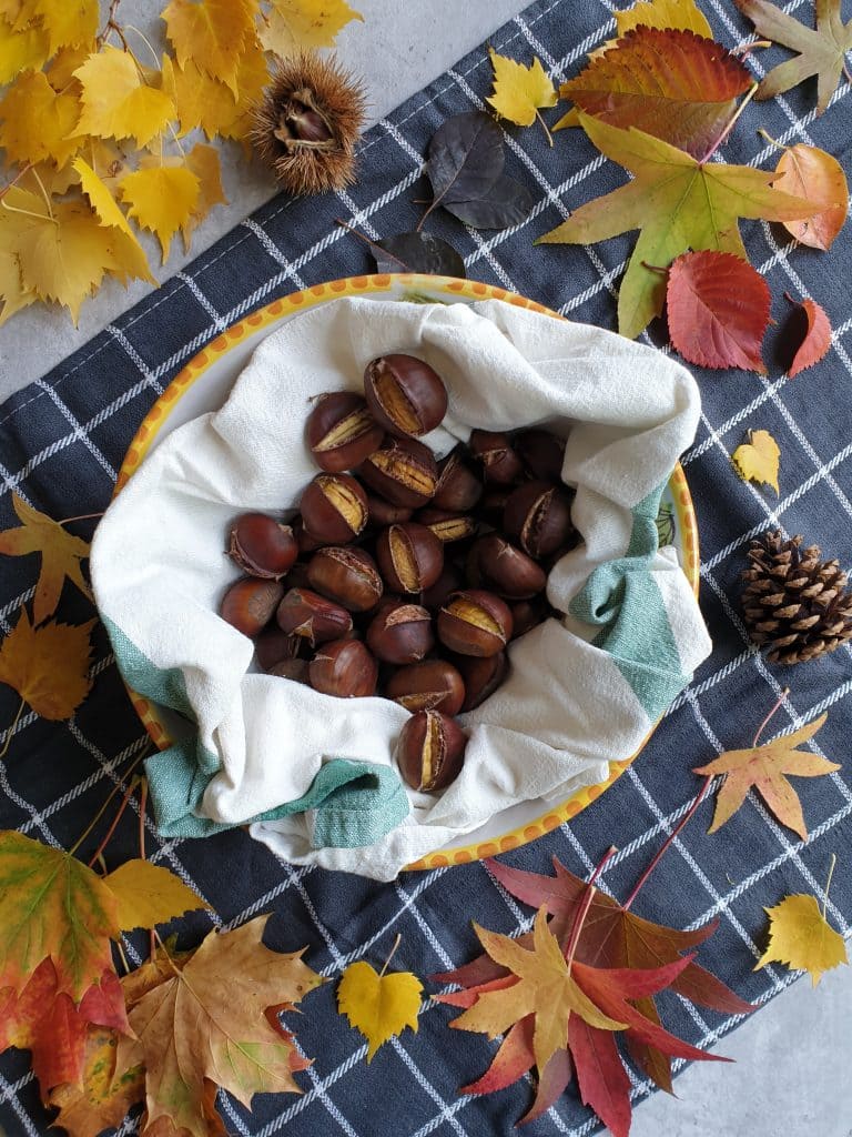 Why You Should Hang a Bag of Wild Chestnuts in Your Home This Fall Why You Should Hang a Bag of Wild Chestnuts in Your Home This Fall