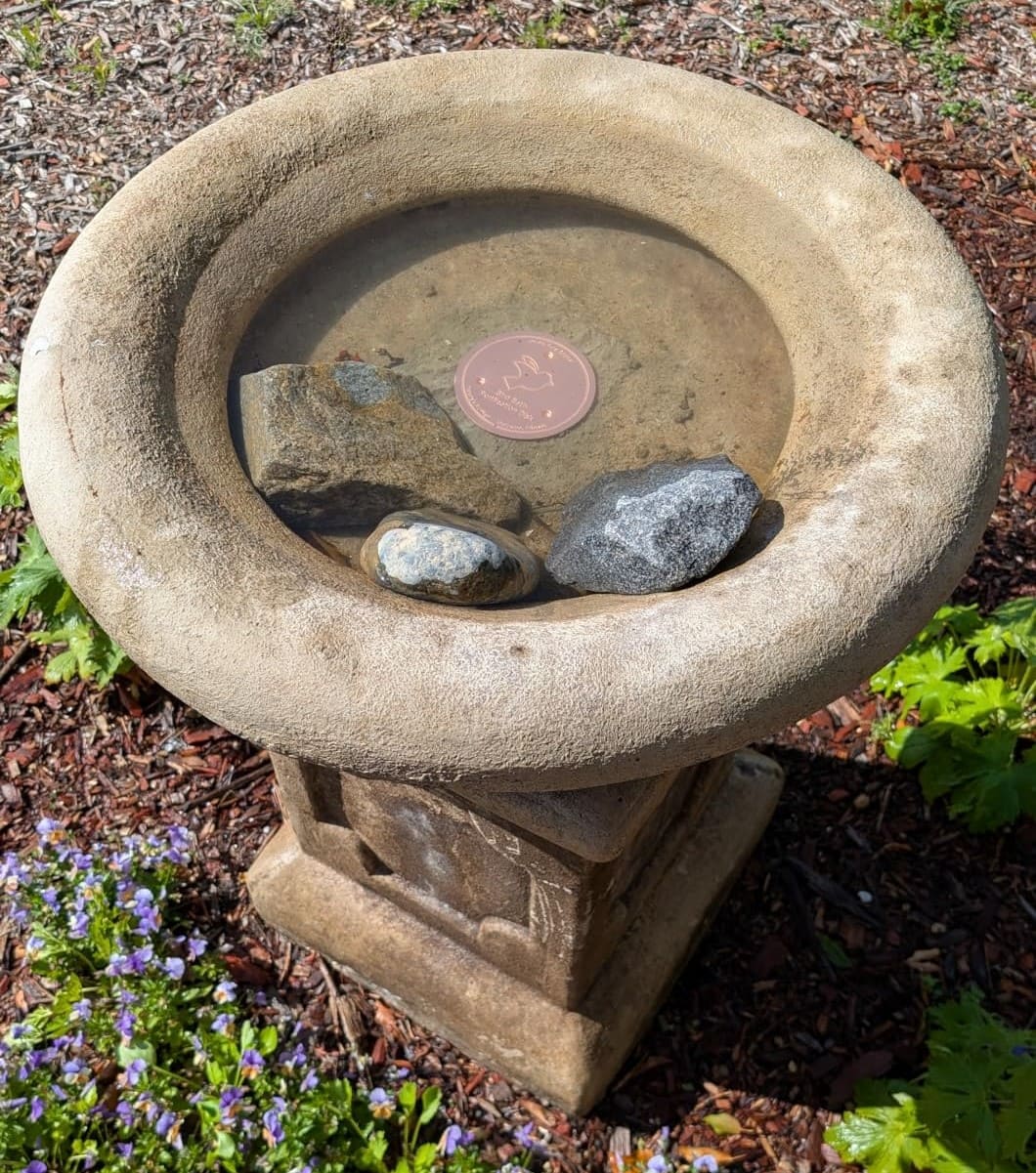 How to Keep Your Bird Bath Clean with Copper