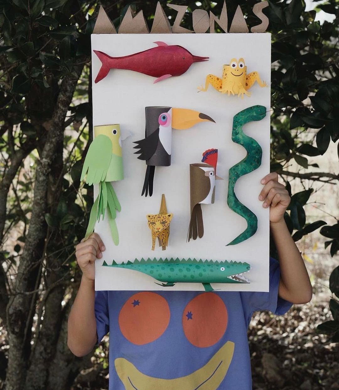 Amazon Rainforest Animal Craft Board
