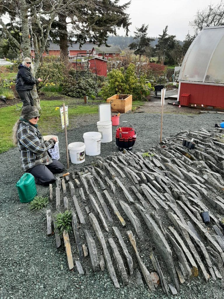 Why More And More Gardeners Choose Crevice Gardens Why More And More Gardeners Choose Crevice Gardens