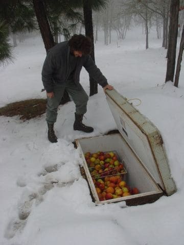How to Turn an Old Refrigerator into a Root Cellar