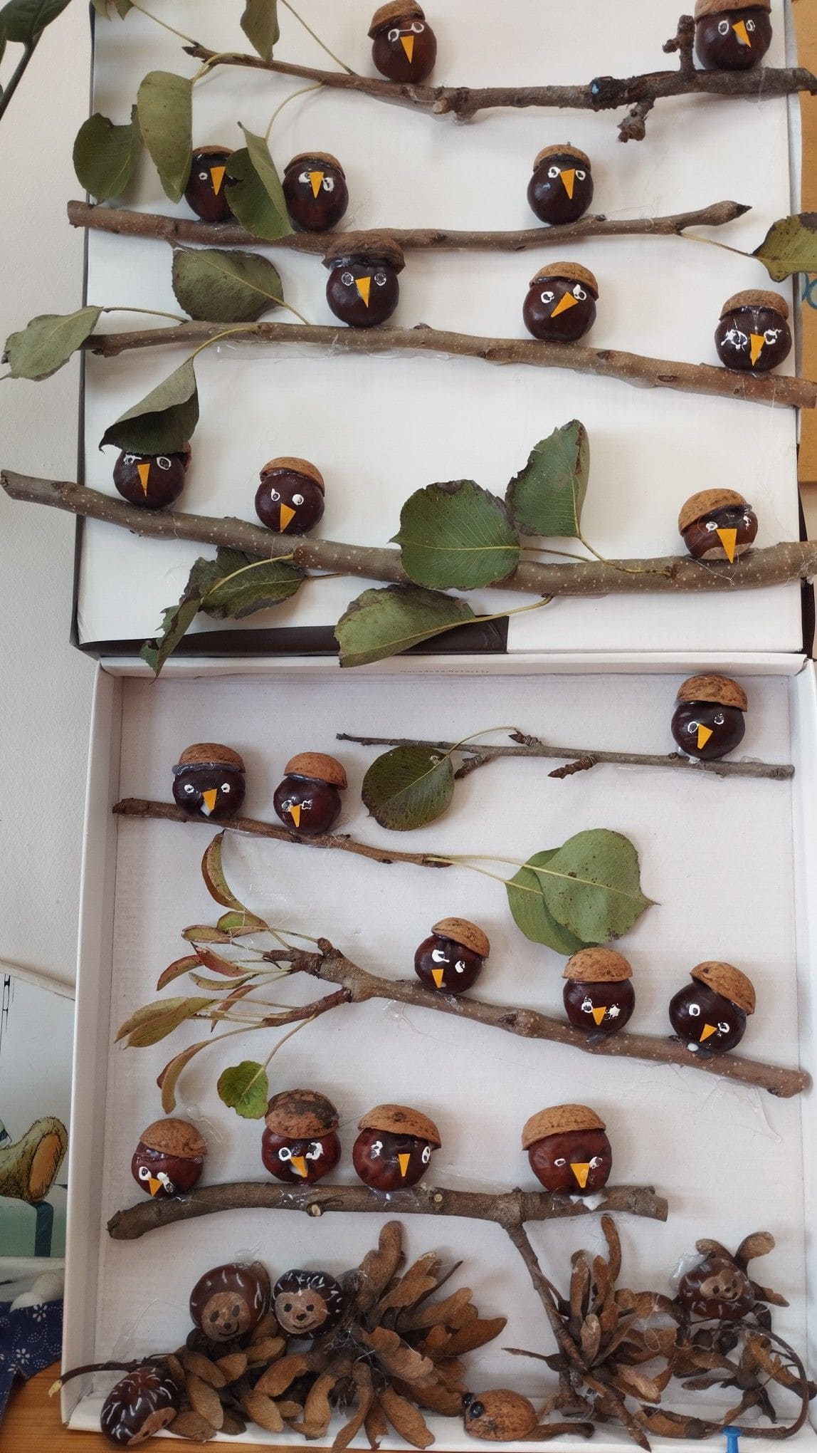 Chestnut Birds on Woodland Branches