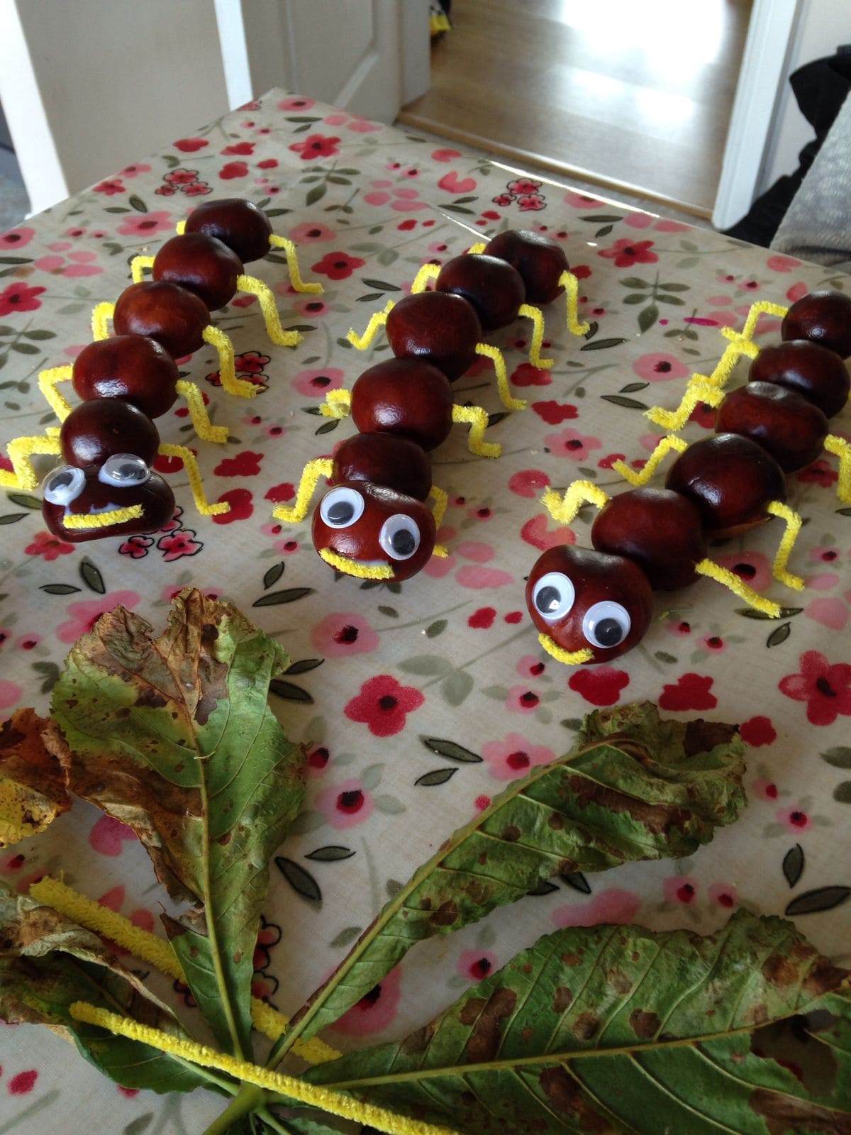 Chestnut Caterpillar Parade