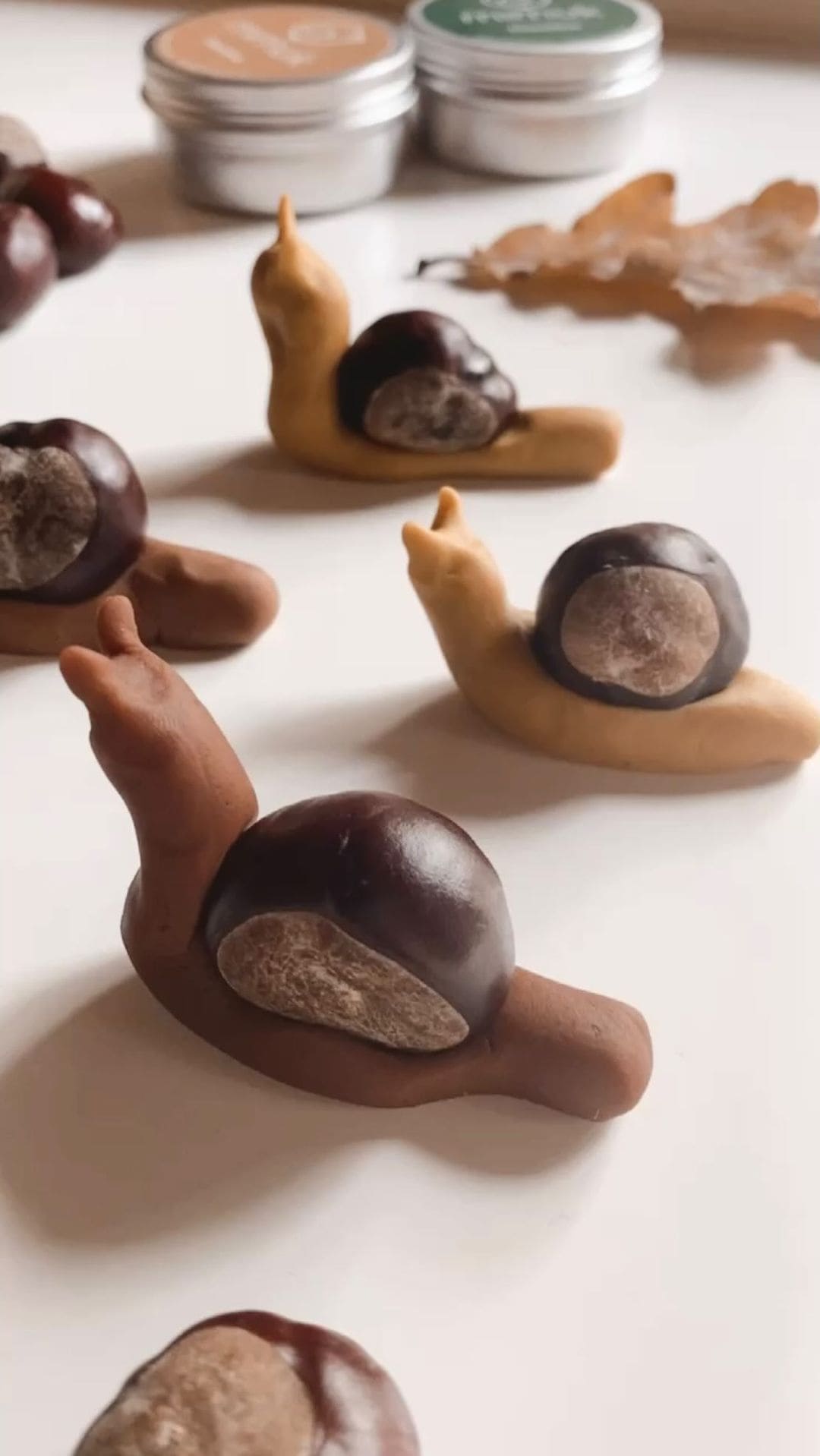 Chestnut Snail Sculptures