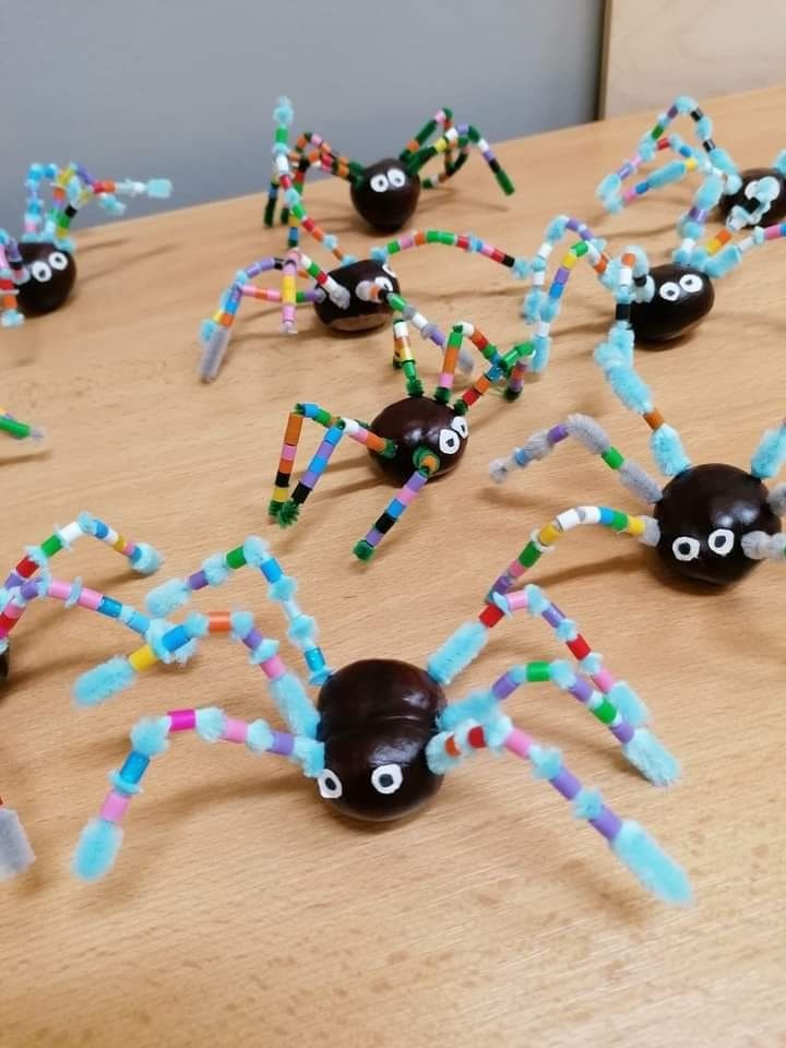 Colorful Chestnut Spiders