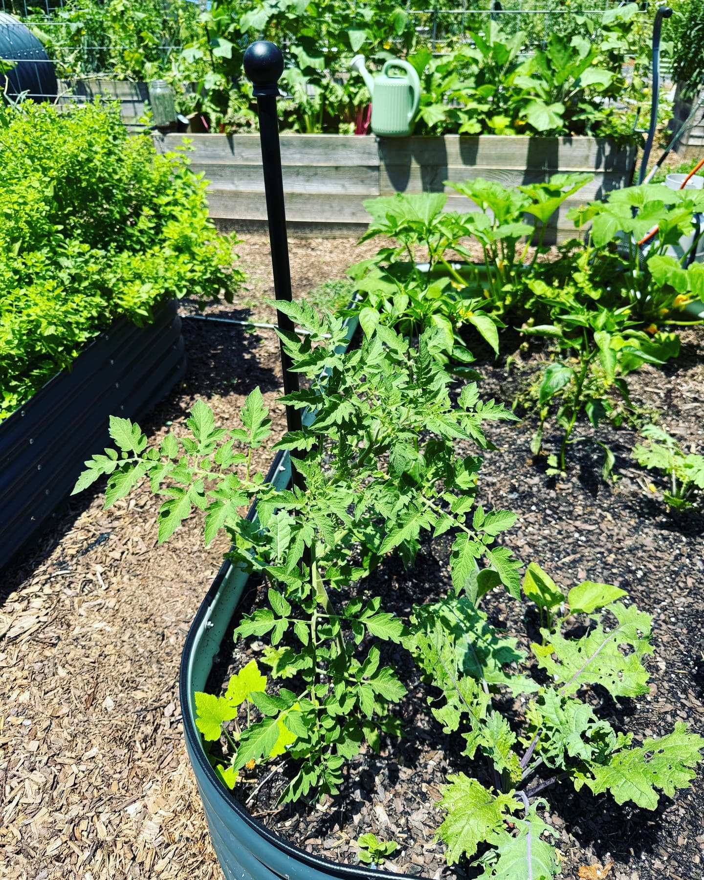 How to Turn Thrifted Curtain Rods Into Stylish Garden Plant Supports How to Turn Thrifted Curtain Rods Into Stylish Garden Plant Supports