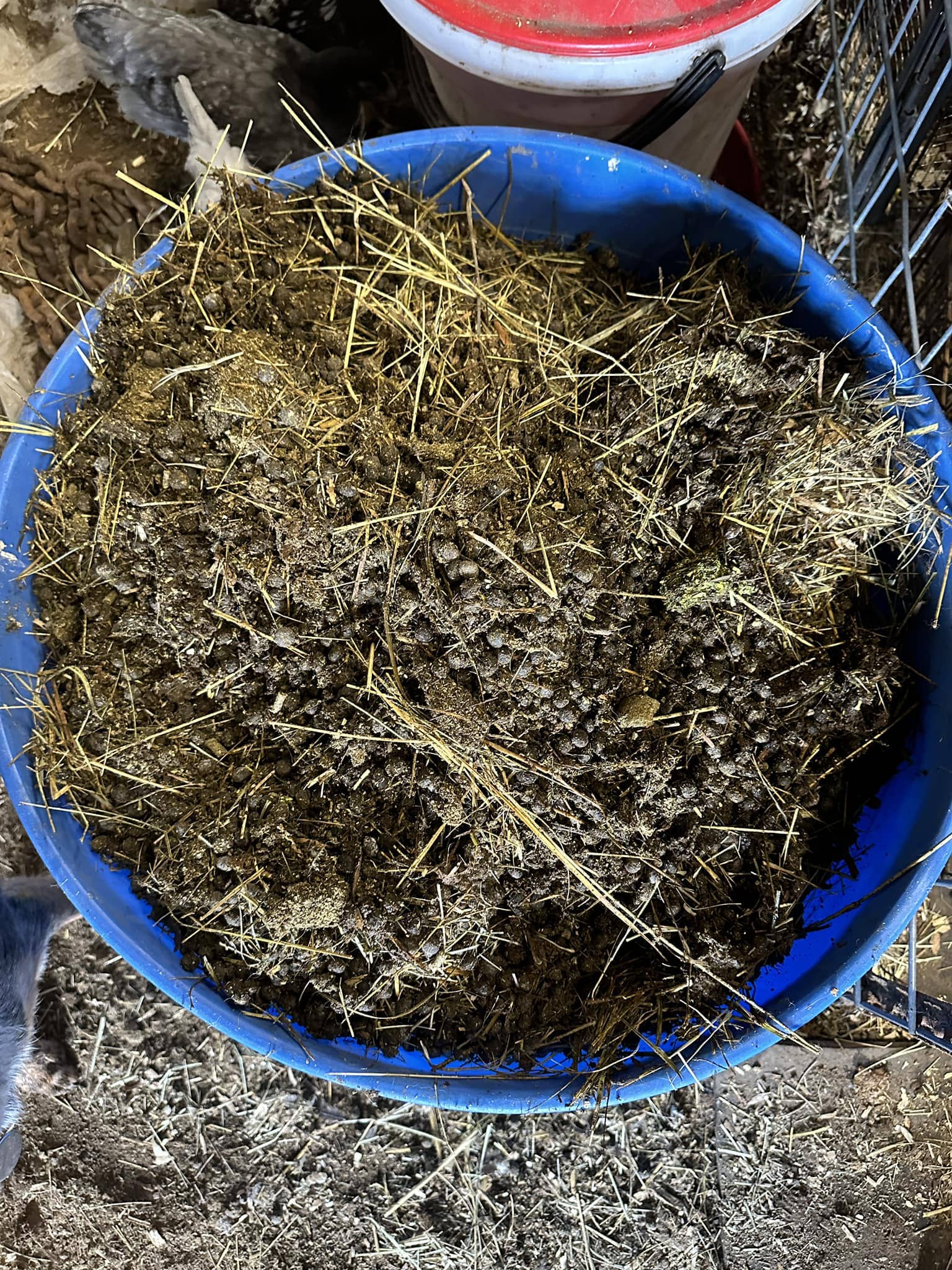 The Secret of Rabbit Poop Fertilizer in the Garden The Secret of Rabbit Poop Fertilizer in the Garden