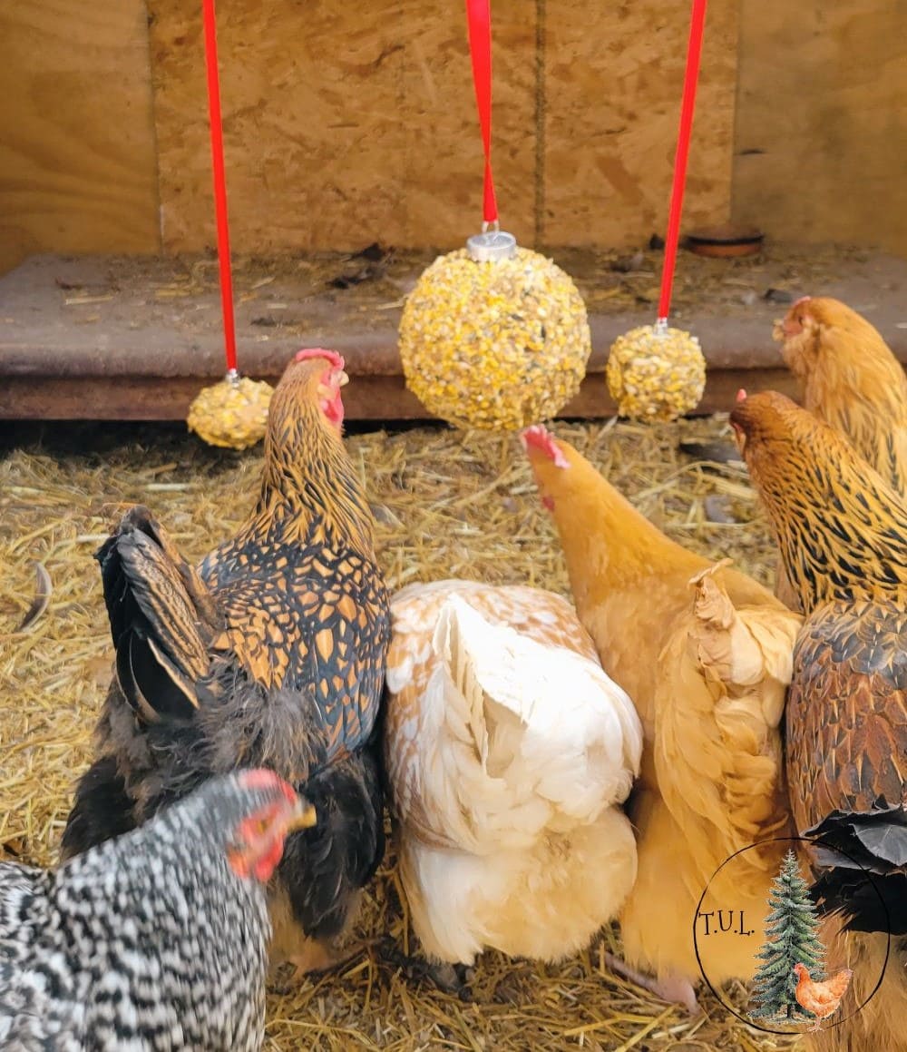 Festive Chicken Treat Ornaments