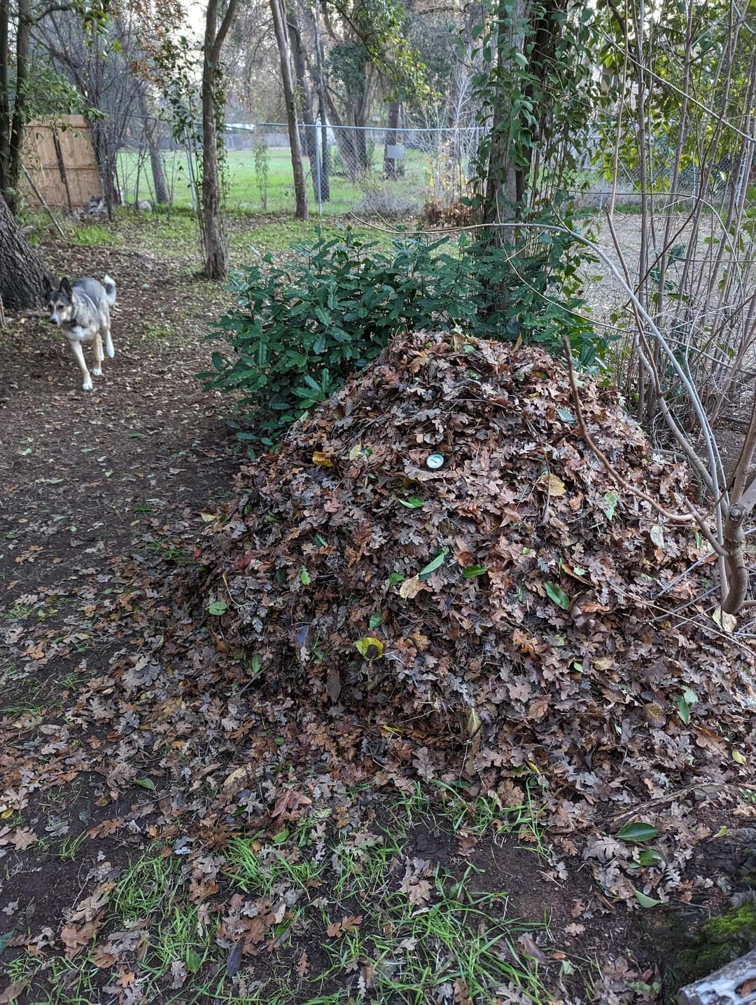 Make Rich Compost in Just 18 Days with the Berkeley Method Make Rich Compost in Just 18 Days with the Berkeley Method