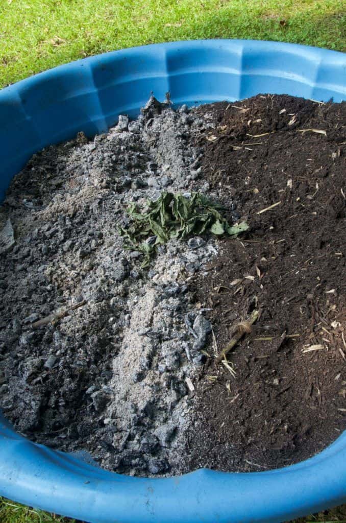 7 Clever Ways to Use Diatomaceous Earth in the Garden and Home 7 Clever Ways to Use Diatomaceous Earth in the Garden and Home