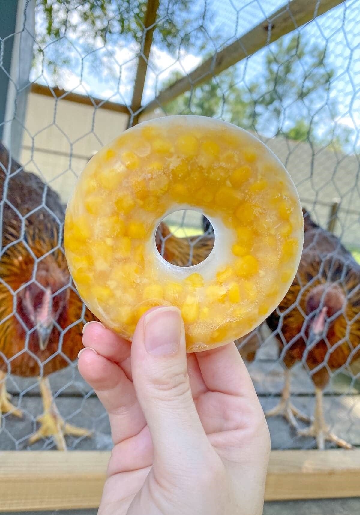Frozen Corn Ring Treats