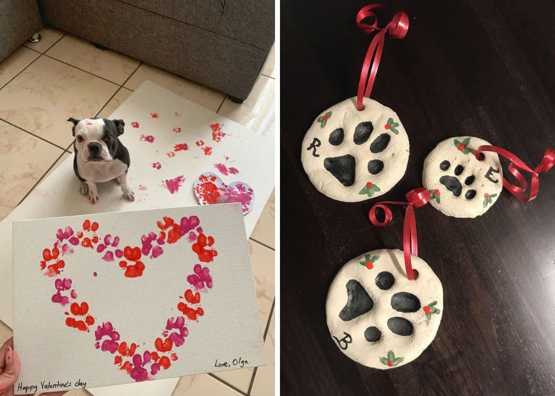 15 Heartwarming Paw Print Projects to Treasure Forever