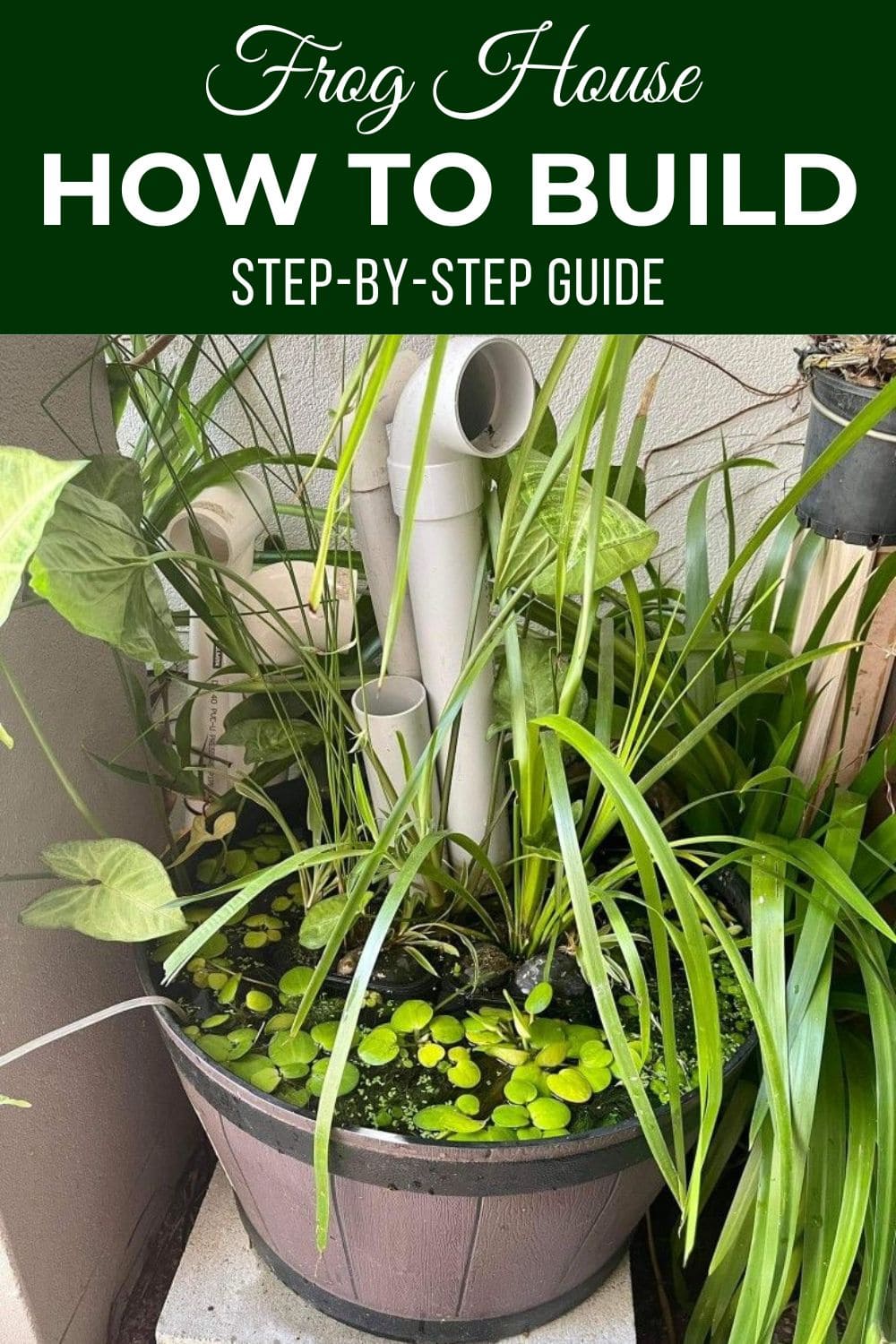 How to Build a Frog Hotel in Your Garden