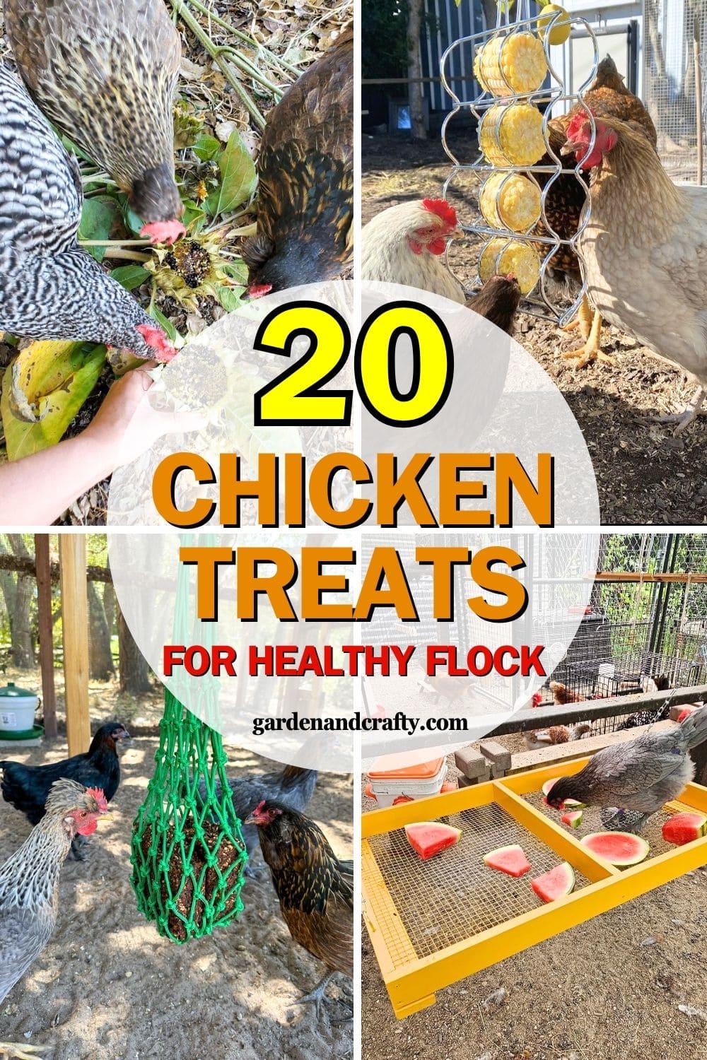 20+ Homemade Chicken Treat Ideas for a Happy, Healthy Coop
