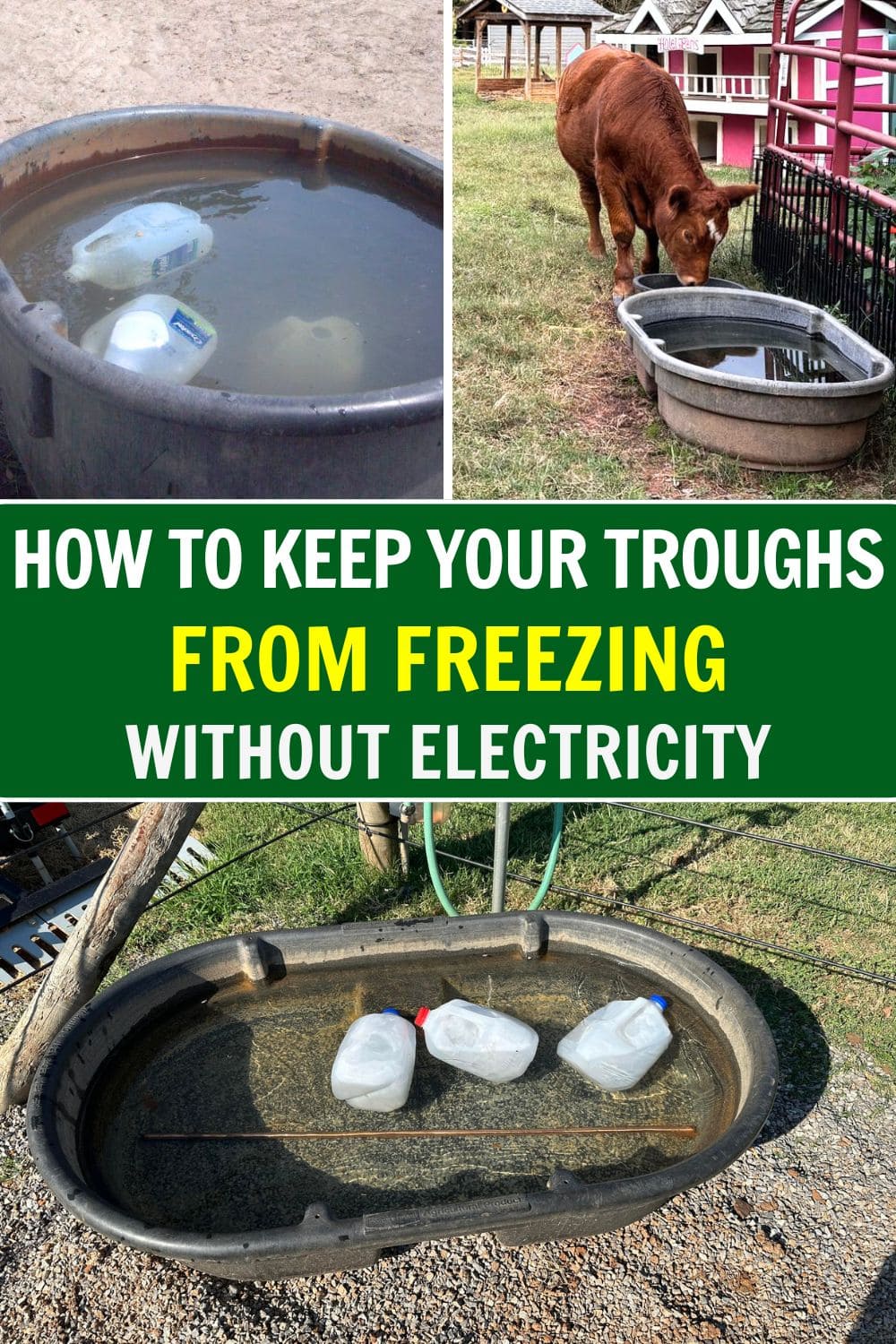 How to Keep Your Troughs from Freezing Without Electricity