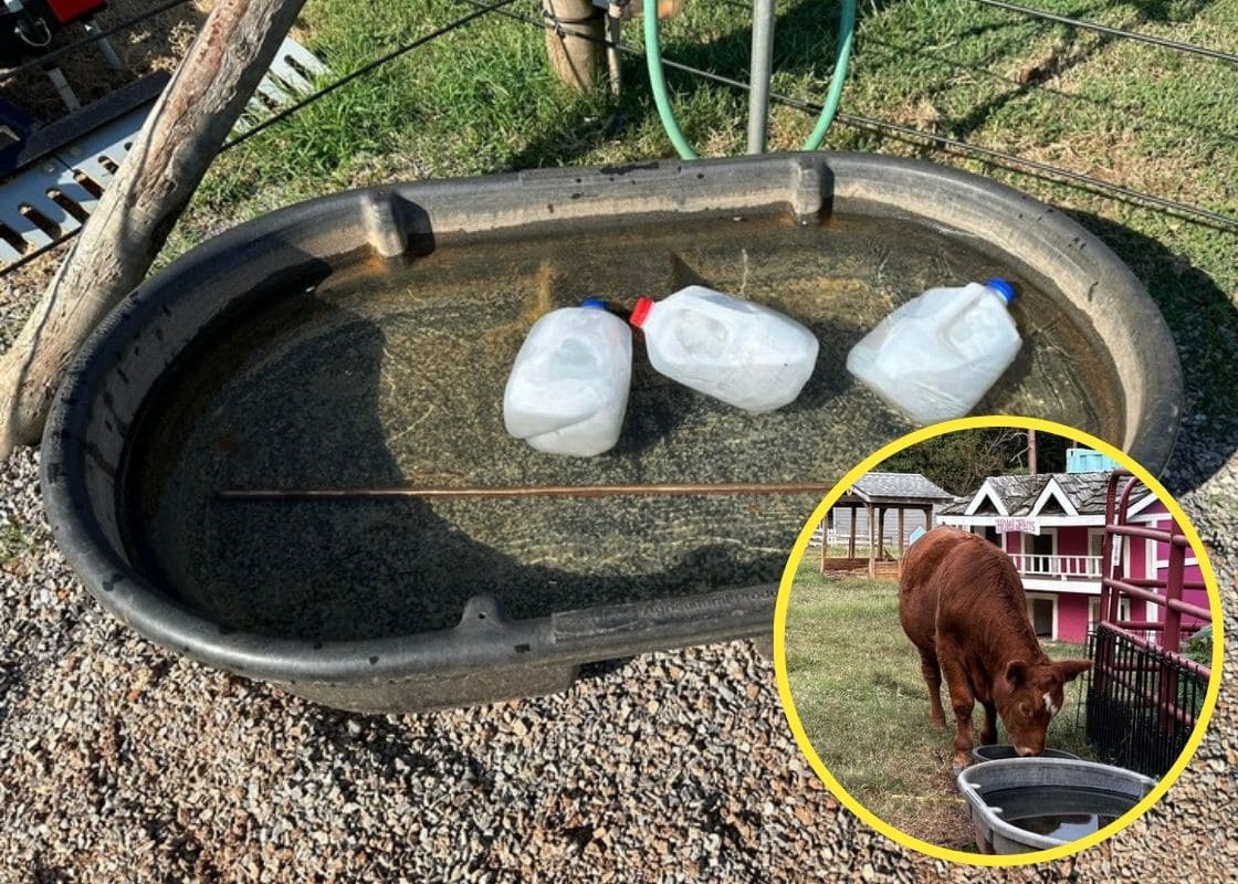 How to Keep Your Troughs from Freezing Without Electricity