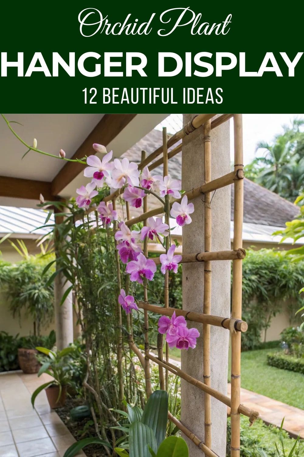 12 Orchid Hanger Ideas for a Bloom-Filled Display