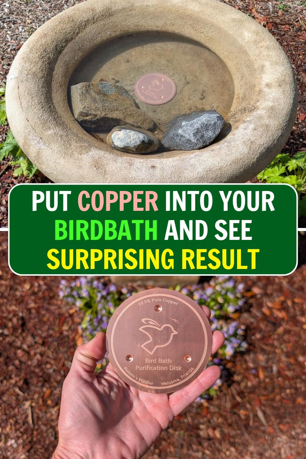 How to Keep Your Bird Bath Clean with Copper