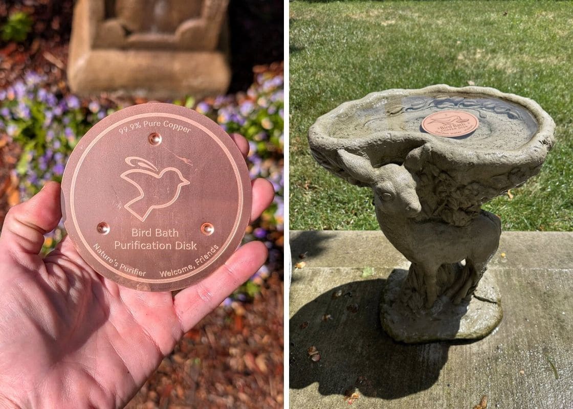 How to Keep Your Bird Bath Clean with Copper How to Keep Your Bird Bath Clean with Copper