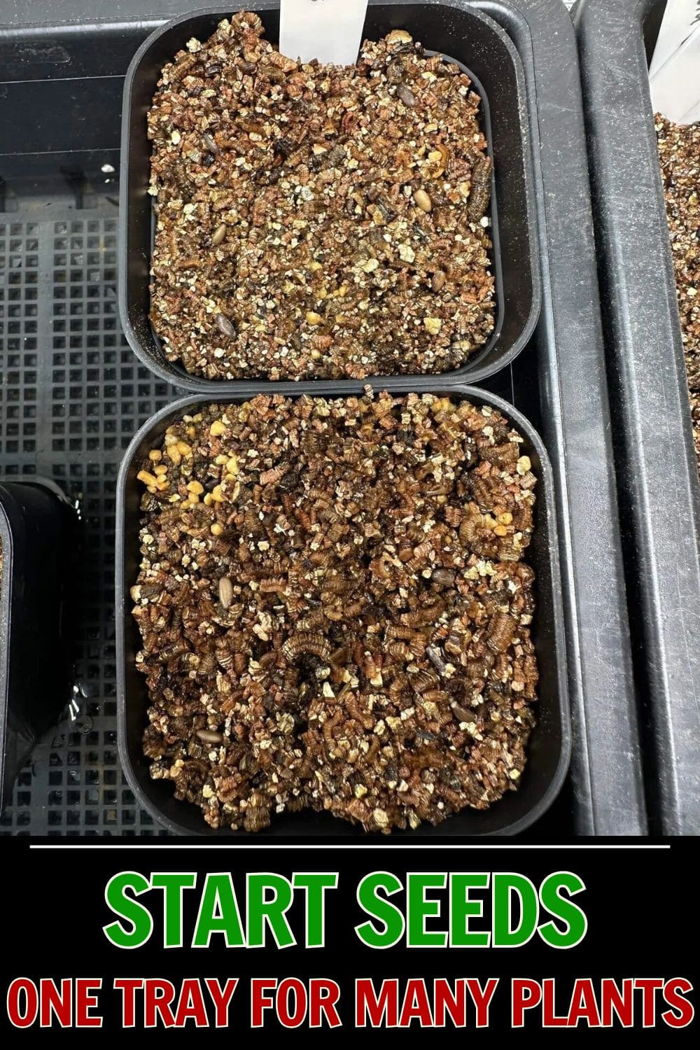 The Smart Way to Start Seeds - One Tray for Many Plants