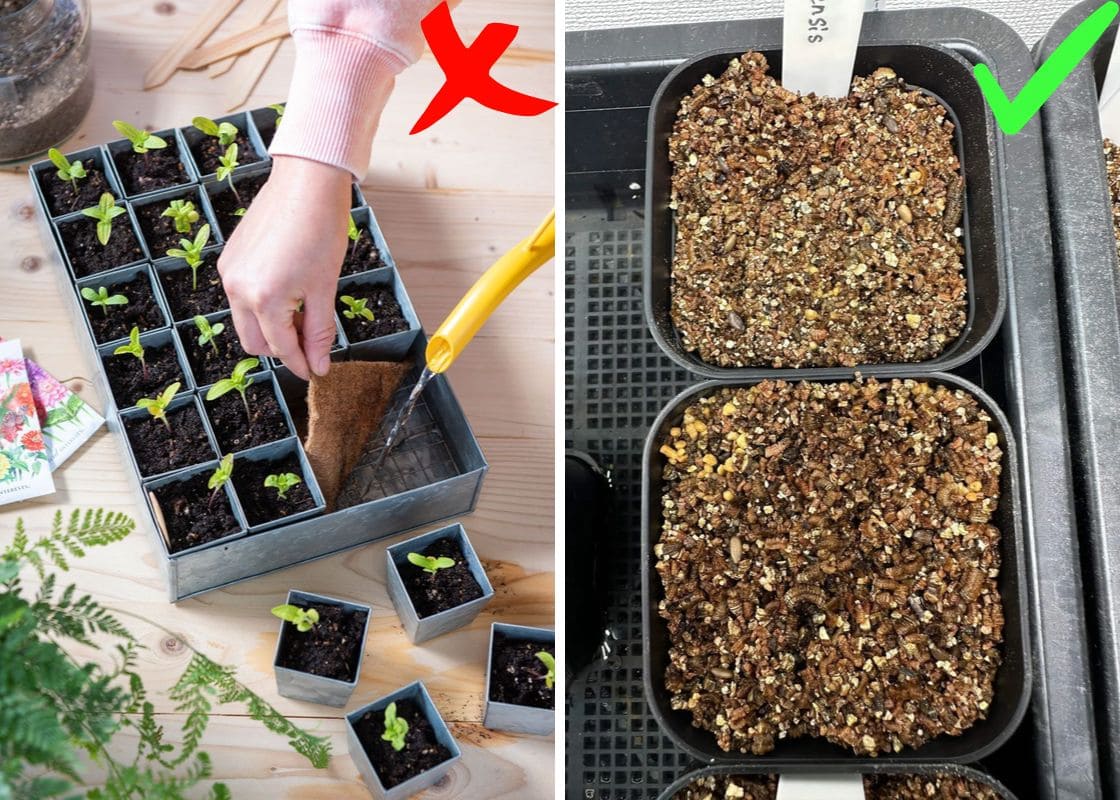 The Smart Way to Start Seeds - One Tray for Many Plants The Smart Way to Start Seeds – One Tray for Many Plants