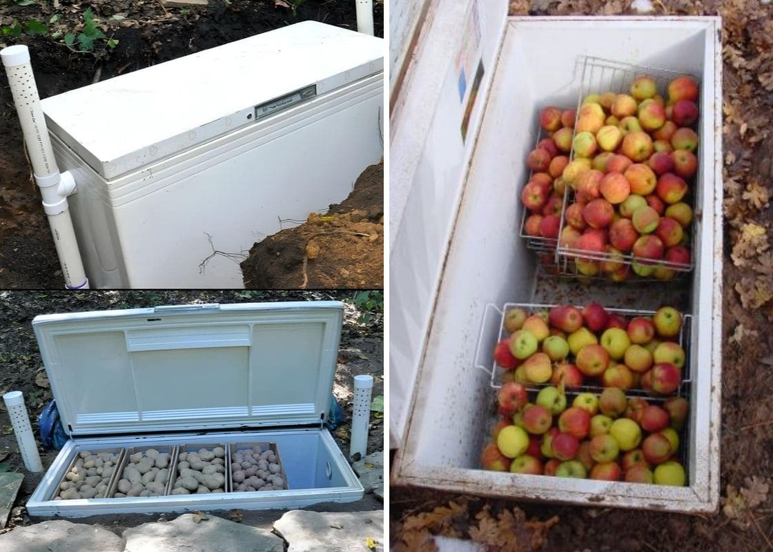 How to Turn an Old Refrigerator into a Root Cellar How to Turn an Old Refrigerator into a Root Cellar