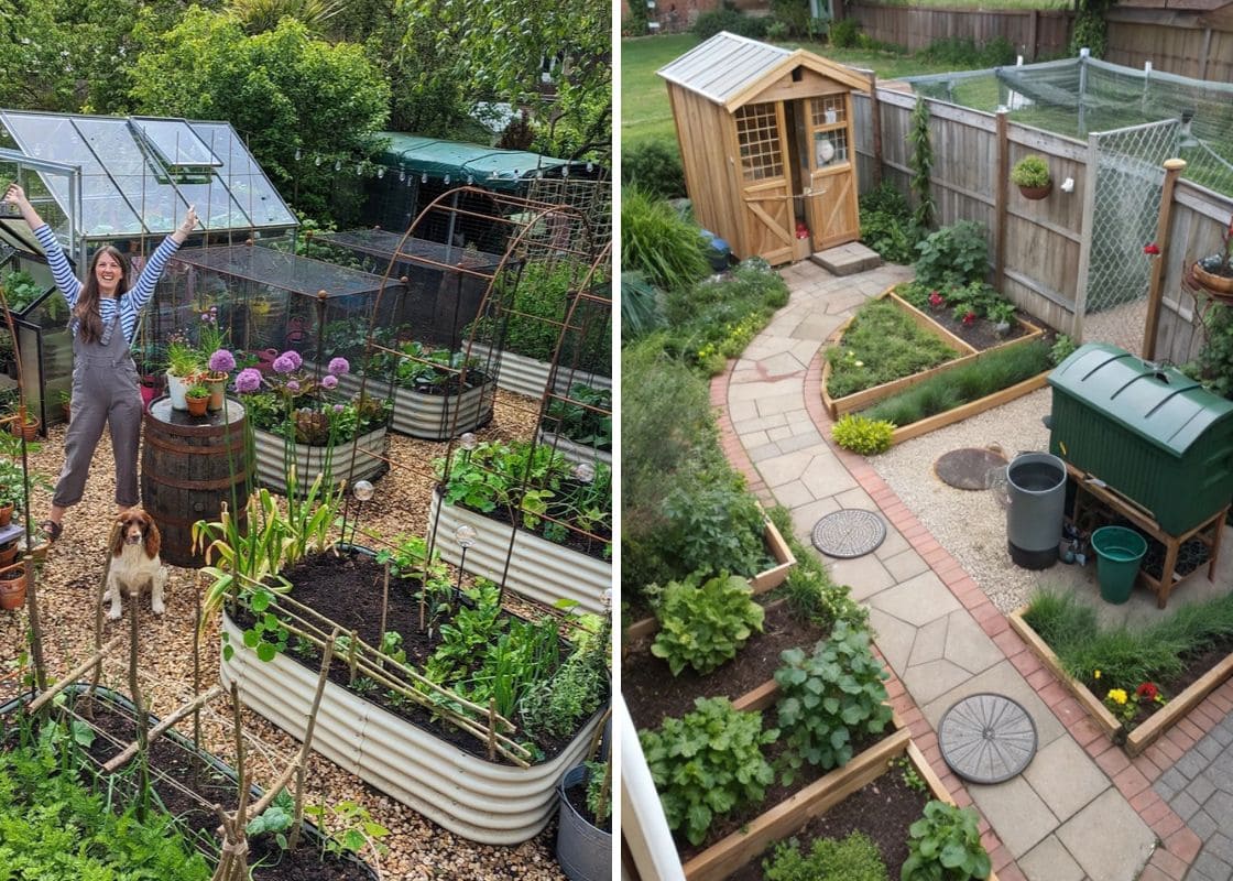 18 Homestead Garden Layout Ideas for Self-Sufficient Living 18 Homestead Garden Layout Ideas for Self-Sufficient Living