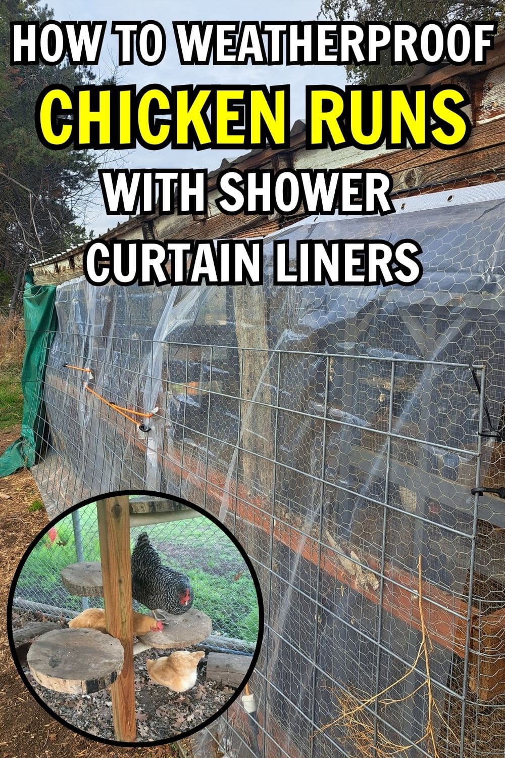 How to Weatherproof a Chicken Run with Shower Curtain Liners How to Weatherproof a Chicken Run with Shower Curtain Liners