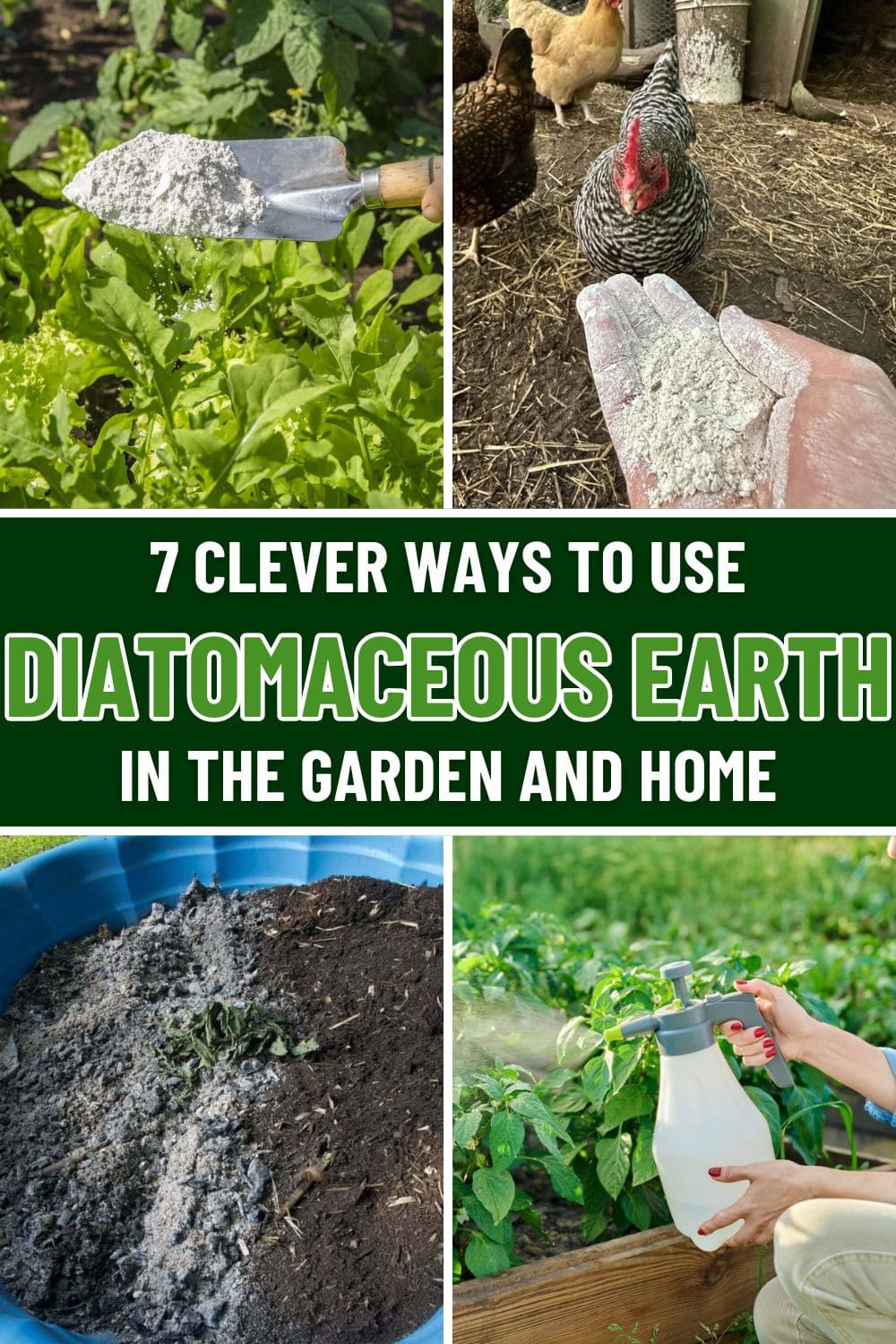 7 Clever Ways to Use Diatomaceous Earth in the Garden and Home 7 Clever Ways to Use Diatomaceous Earth in the Garden and Home