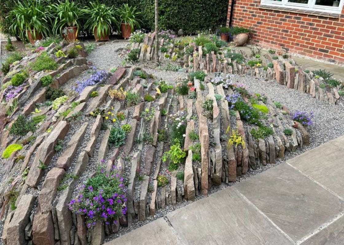 Why More And More Gardeners Choose Crevice Gardens